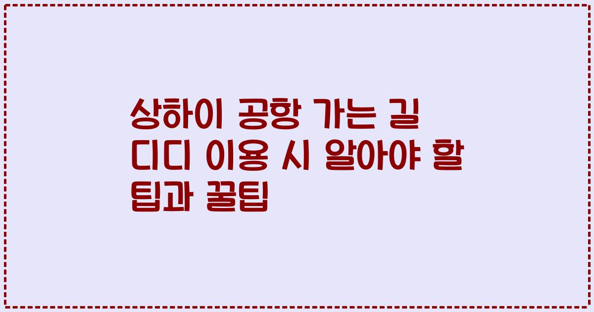 상하이 공항 가는 길 디디 이용 시 알아야 할 팁과 꿀팁